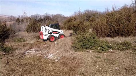 best skid steer for cedar removal|4 Essential Skid Steer Attachments for Tree Removal .